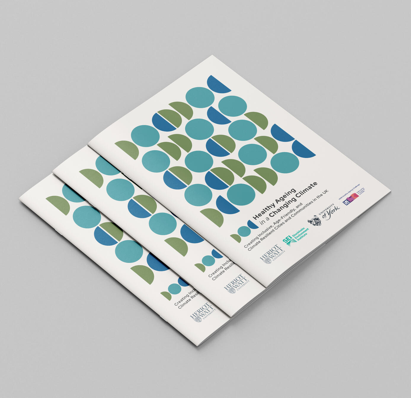 Healthy Ageing in a Changing Climate — Brand Identity | Communication Design